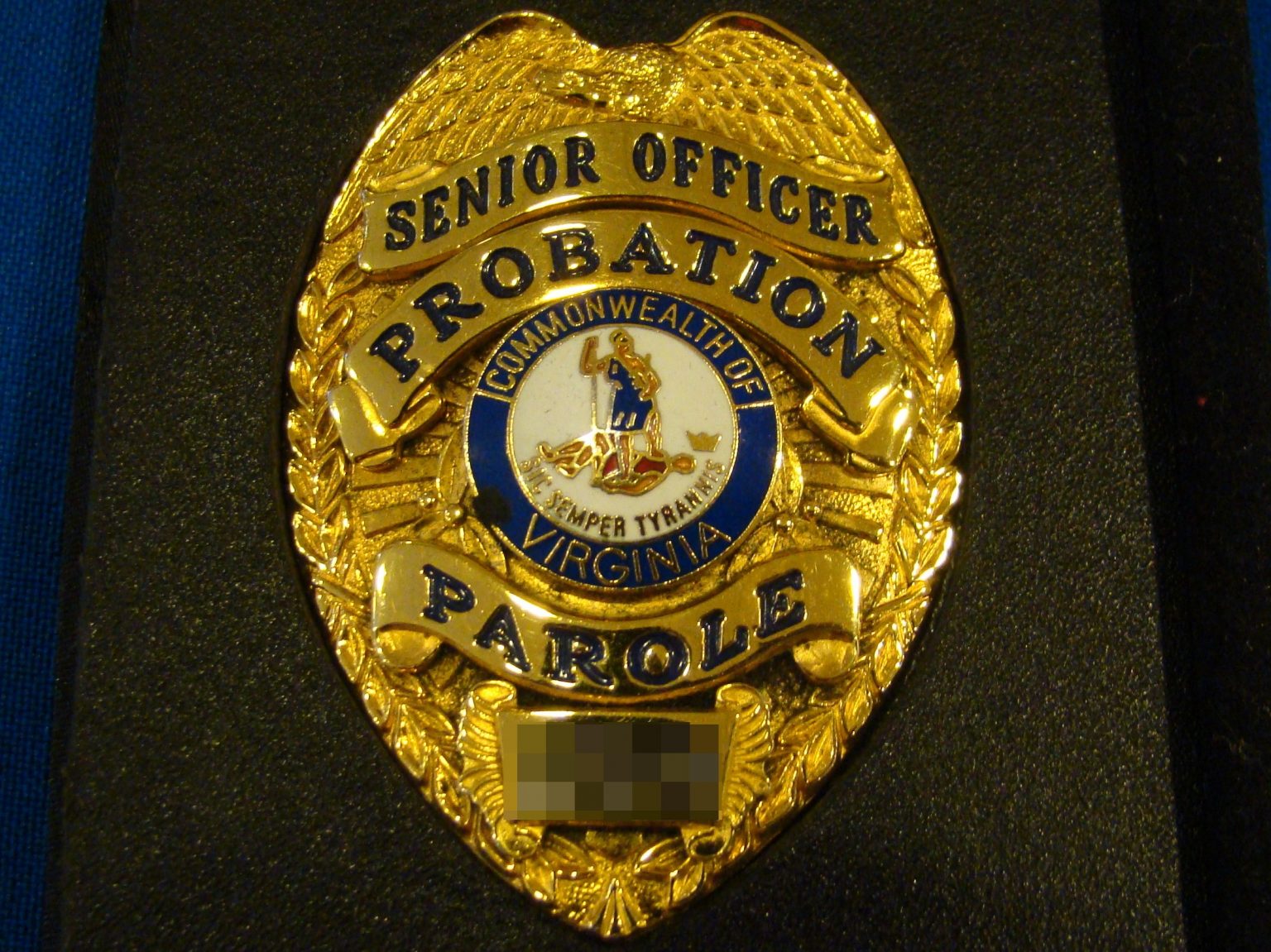 Virginia Probation and Parole Association Fostering Leadership